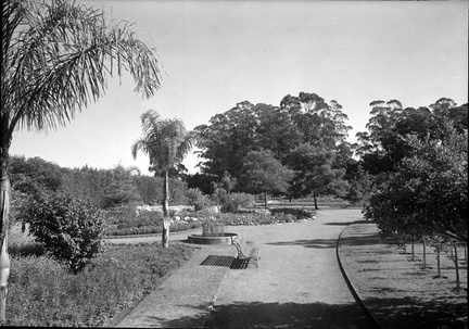 Rosedal del Prado 02