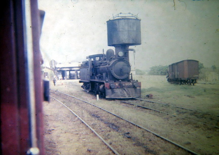 archivo werther halarewicz-55