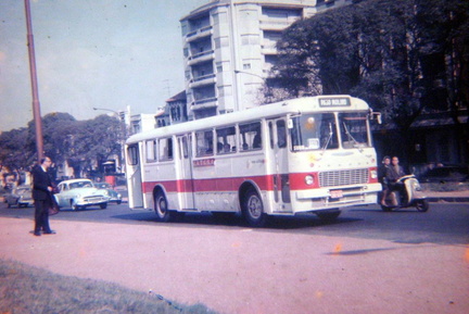 archivo werther halarewicz-62
