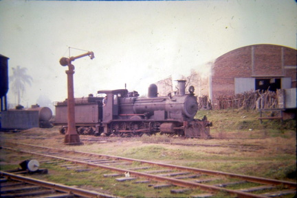 archivo werther halarewicz-285