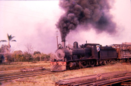 archivo werther halarewicz-287