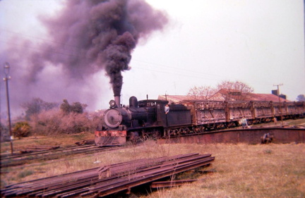 archivo werther halarewicz-288