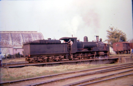 archivo werther halarewicz-290