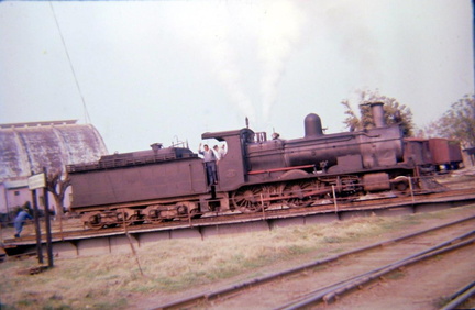 archivo werther halarewicz-289
