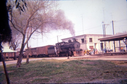 archivo werther halarewicz-295