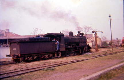 archivo werther halarewicz-296
