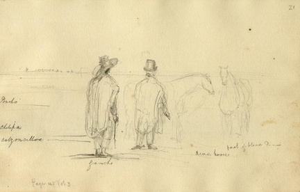 conrad martens 16