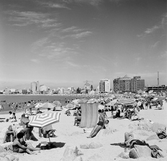 Playa Pocitos 03