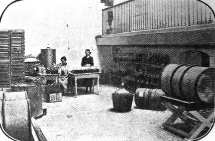 fabrica jabones algorta 07