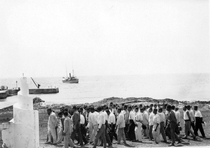 isla de flores 15