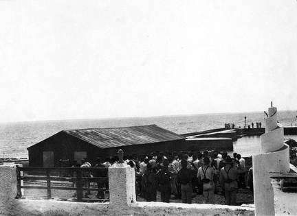 isla de flores 17