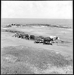 cdm lauro ayestaran-98