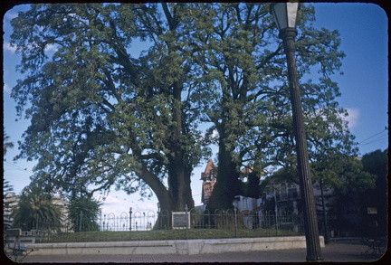 LJC 093 040
