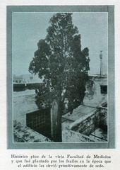 El Libro Del Centenario Del Uruguay-page 497-recorte2
