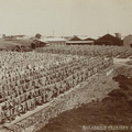 recuerdo de montevideo 1910-25