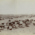 recuerdo de montevideo 1910-27