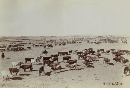 recuerdo de montevideo 1910-27