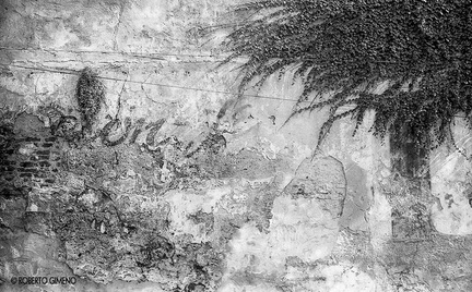 archivo roberto gimeno-167