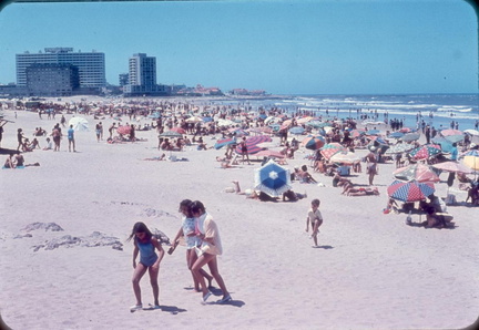 playa el grillo 20221102 1420646219