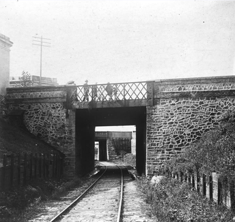 tren de los patos 06