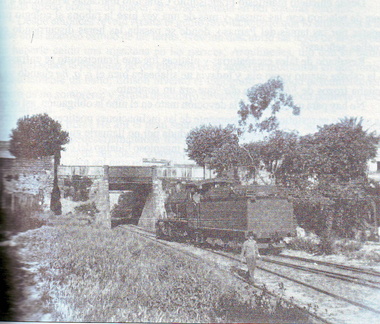 tren de los patos 09