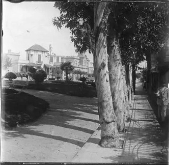 turista en 1916-61