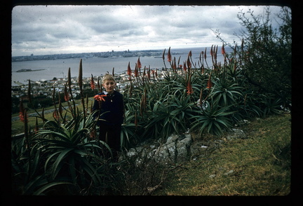 Cerro de Montevideo 03