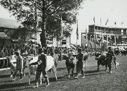 expo nacional ganaderia 1906 foto 01