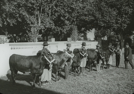 expo nacional ganaderia 1906 foto 02