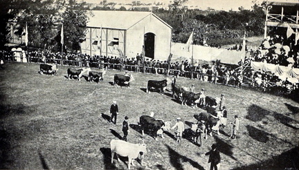 expo nacional ganaderia 1906 foto 05-bal