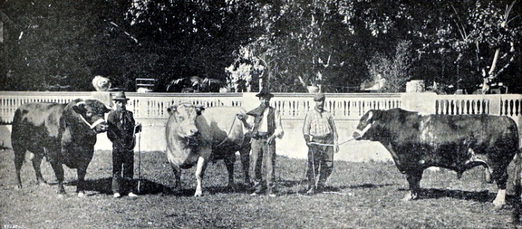 expo nacional ganaderia 1906 foto 07-bal