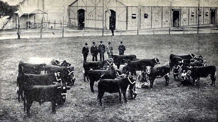 expo nacional ganaderia 1906 foto 08-bal