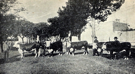 expo nacional ganaderia 1906 foto 09-bal