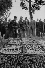 Visita Richard Nixon. Año 1958.